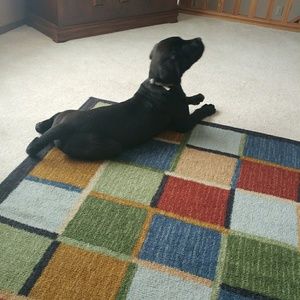 Meet your Posher, Kristin